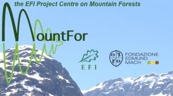 MOUNTFOR_LOGO